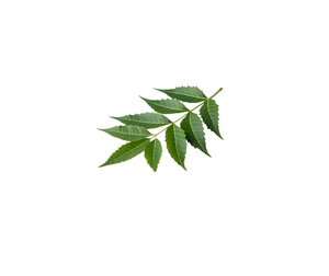 Neem